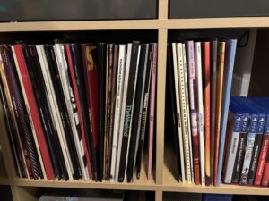 Platencollectie Muziek Daan Rietveld